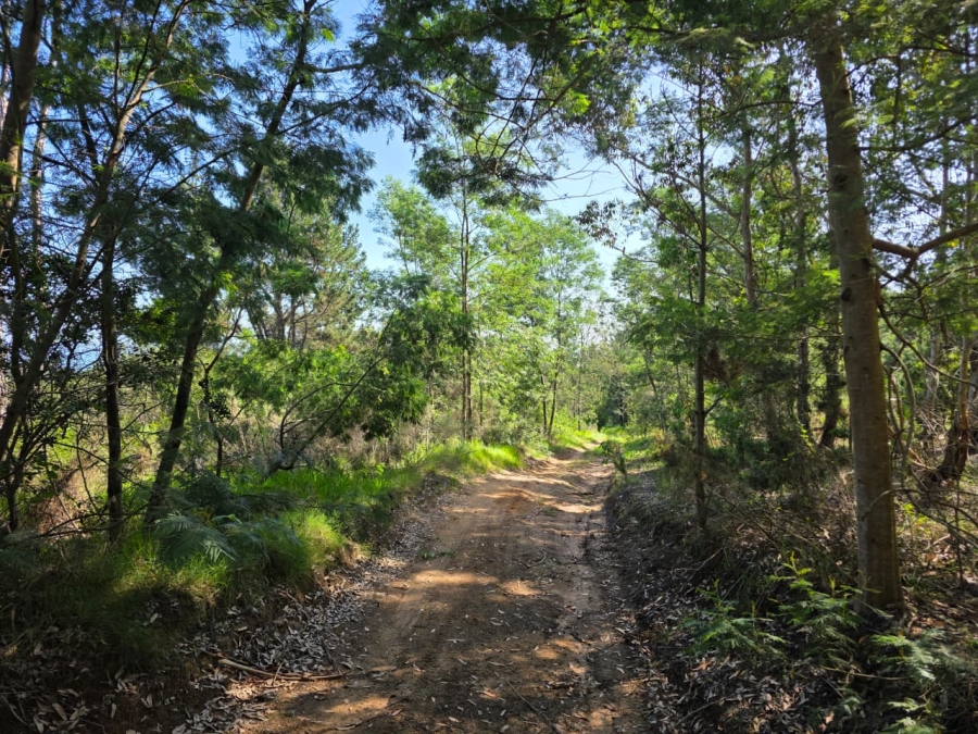 0 Bedroom Property for Sale in Sedgefield Rural Western Cape